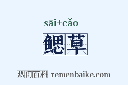鳃草是什么意思的图片
